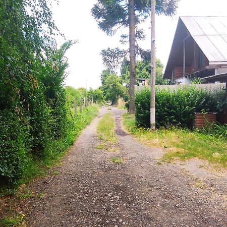 Cabana La Araucaria El Manzano  客房 照片